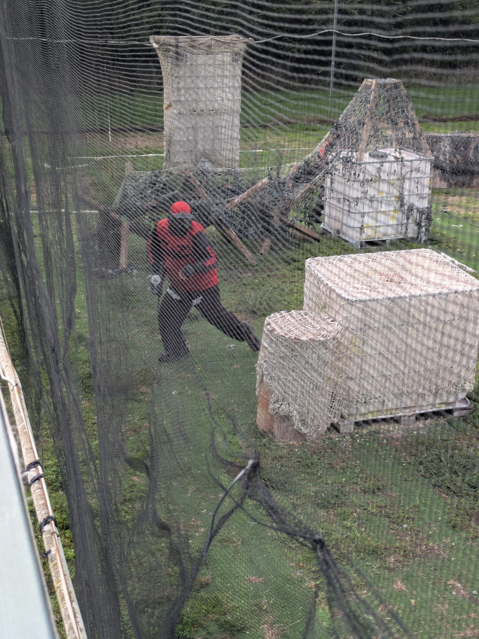 Immagine della diapositiva