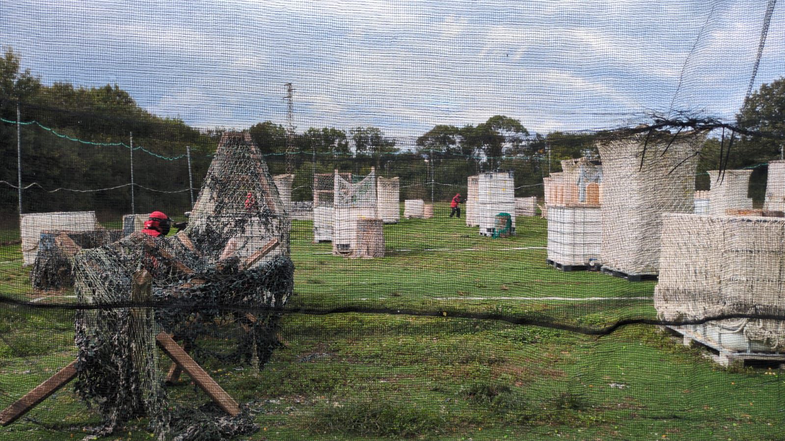 Immagine della diapositiva