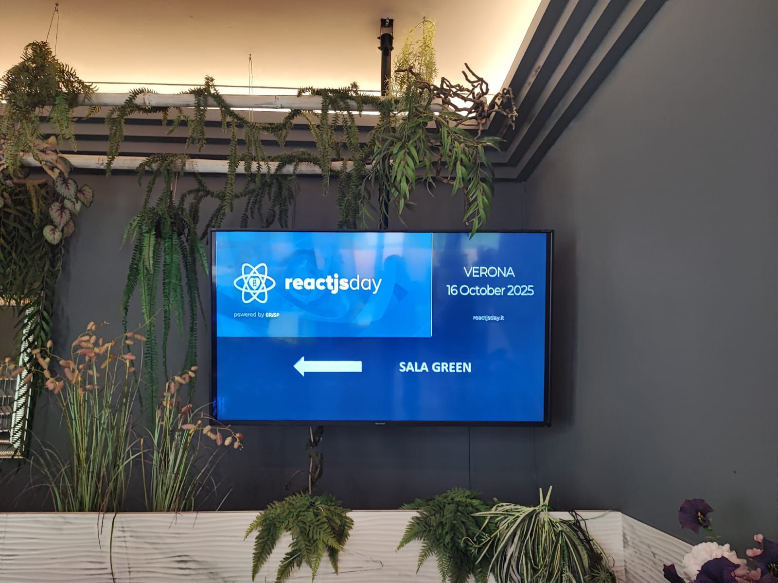 Odoo • Testo e immagine